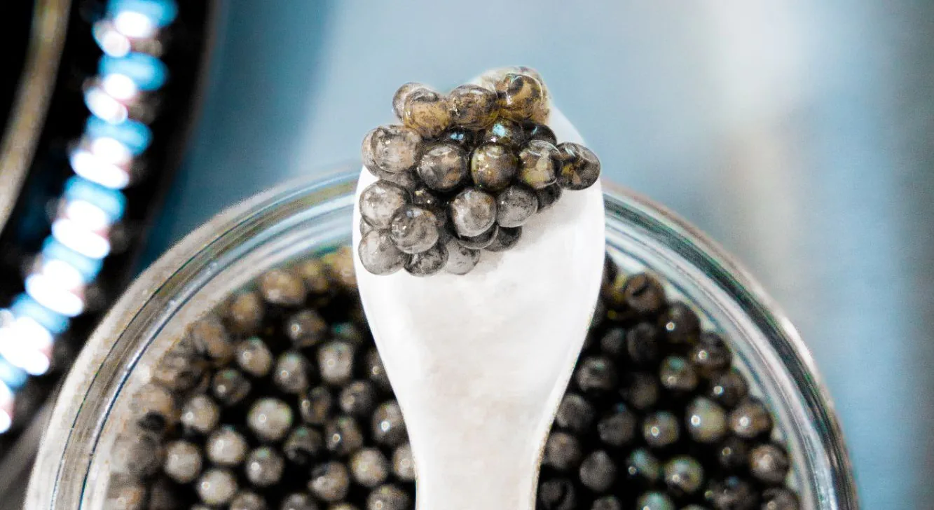 Caviar Beluga Istros